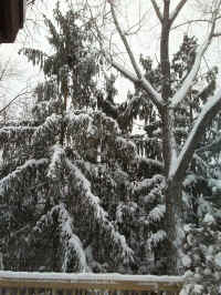 Winter Wonderland 2019-2020 - 002