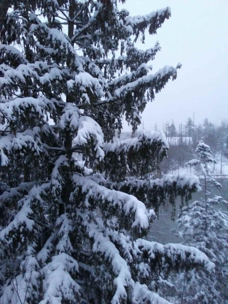 Winter Wonderland 2019-2020 - 003