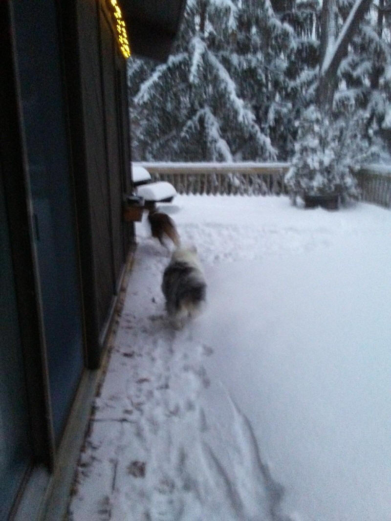 Winter Wonderland 2019-2020 - 005