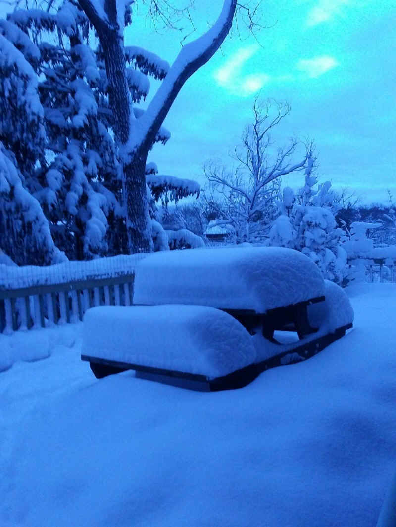 Winter Wonderland 2019-2020 - 006