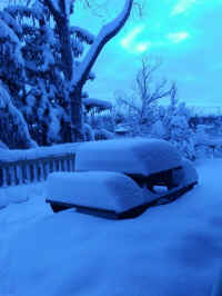 Winter Wonderland 2019-2020 - 006