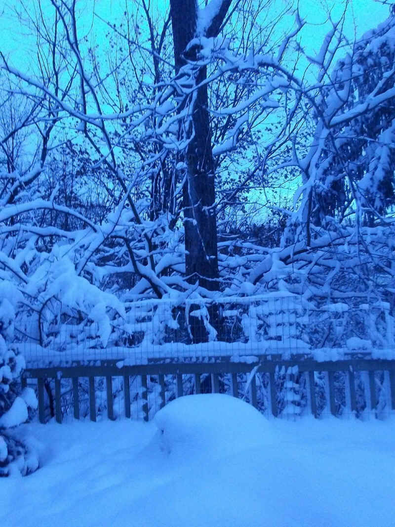 Winter Wonderland 2019-2020 - 007