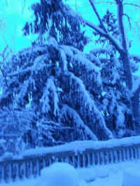 Winter Wonderland 2019-2020 - 008