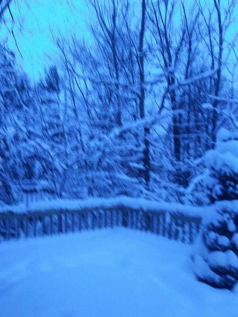 Winter Wonderland 2019-2020 - 009