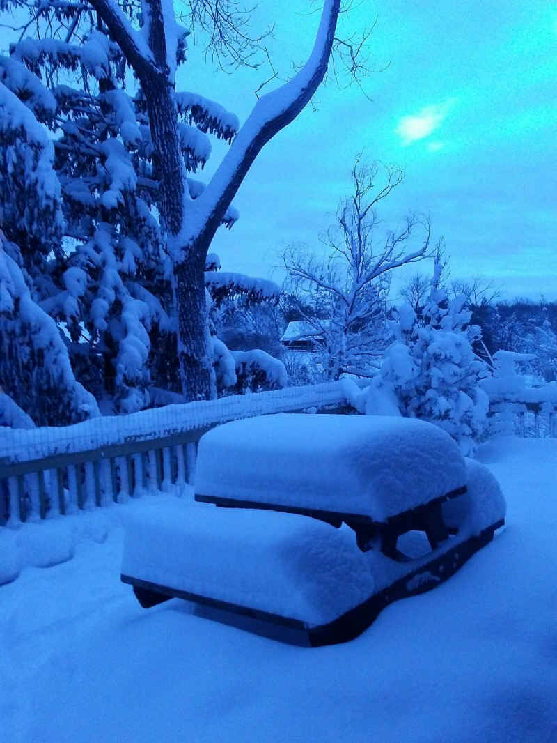 Winter Wonderland 2019-2020 - 010