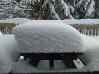 Winter Wonderland 2019-2020 - 011