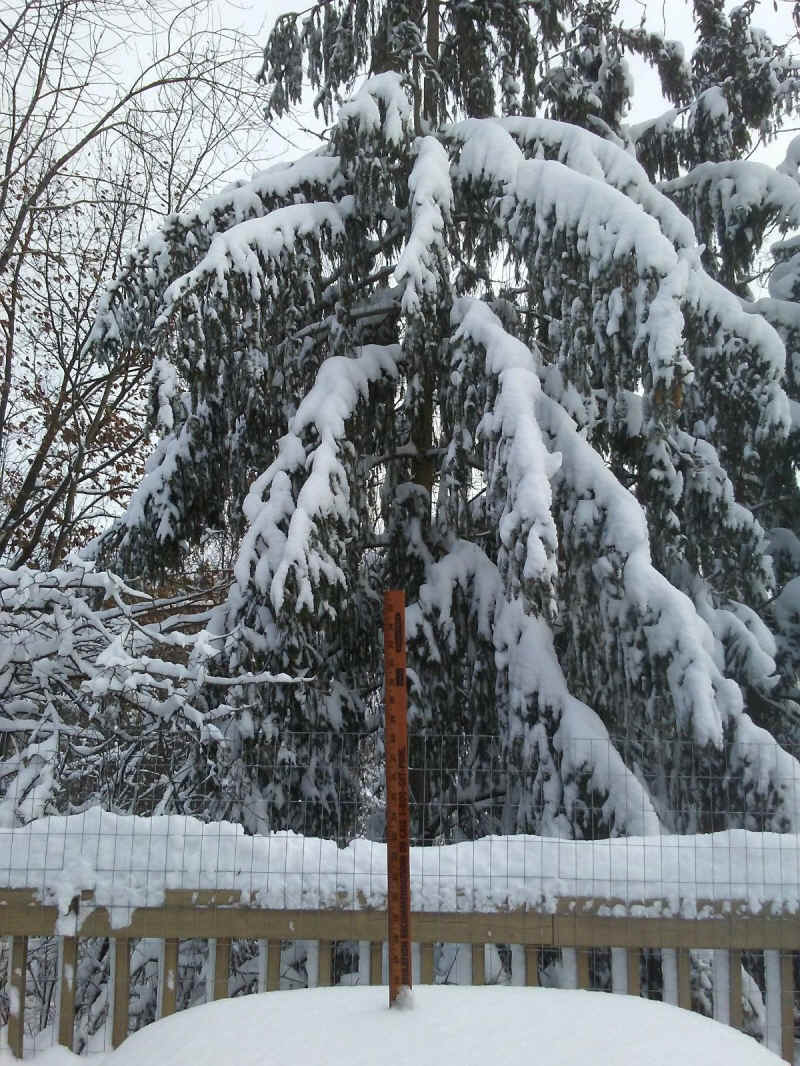 Winter Wonderland 2019-2020 - 012