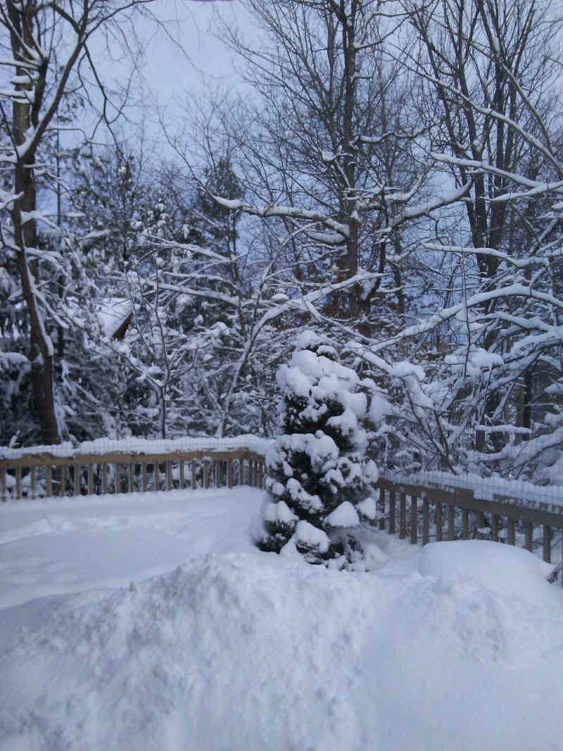 Winter Wonderland 2019-2020 - 013