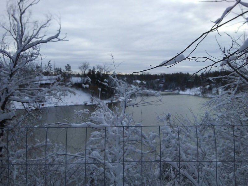 Winter Wonderland 2019-2020 - 014