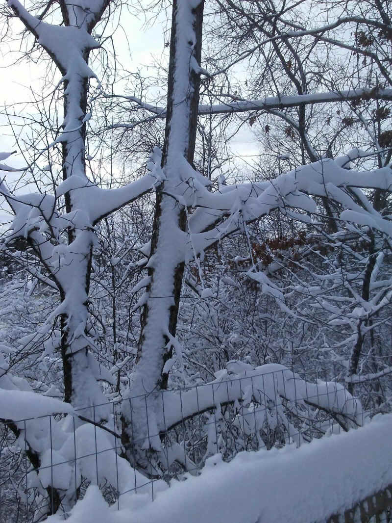 Winter Wonderland 2019-2020 - 016