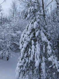 Winter Wonderland 2019-2020 - 017