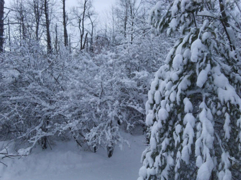 Winter Wonderland 2019-2020 - 018