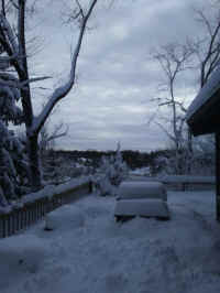 Winter Wonderland 2019-2020 - 020