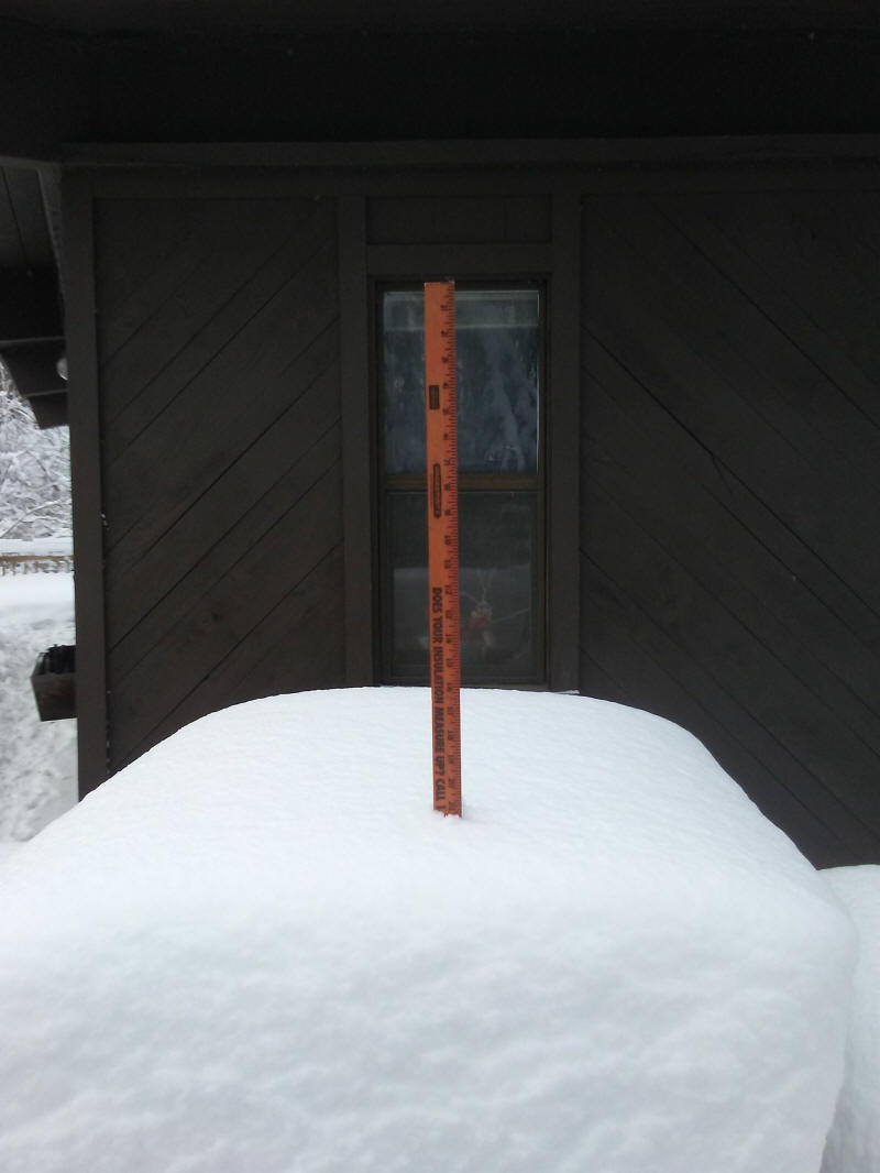 Winter Wonderland 2019-2020 - 021