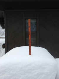 Winter Wonderland 2019-2020 - 021