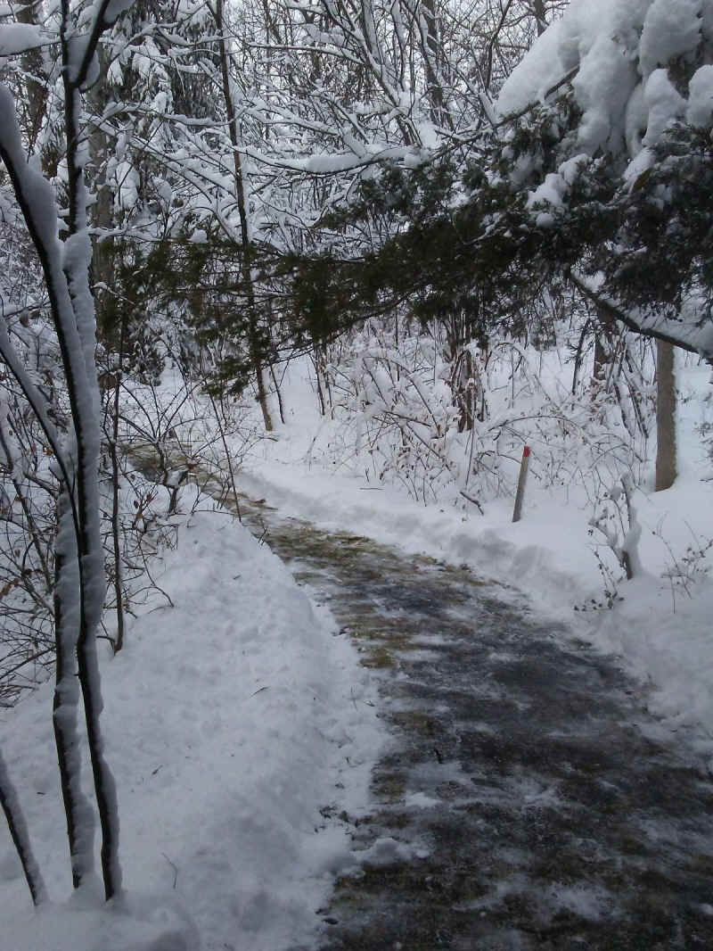 Winter Wonderland 2019-2020 - 023