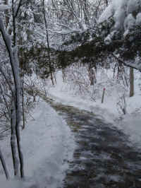 Winter Wonderland 2019-2020 - 023