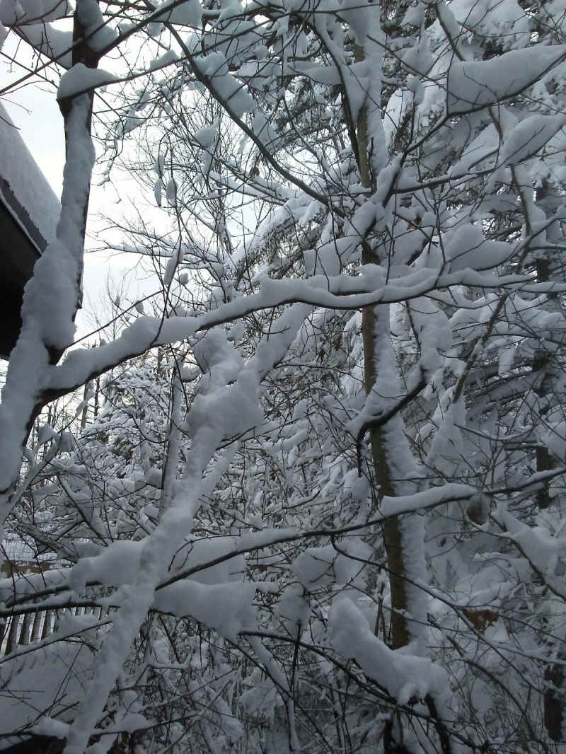 Winter Wonderland 2019-2020 - 024