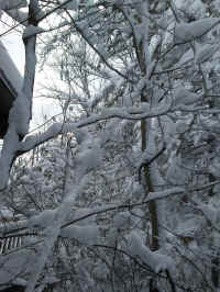 Winter Wonderland 2019-2020 - 024