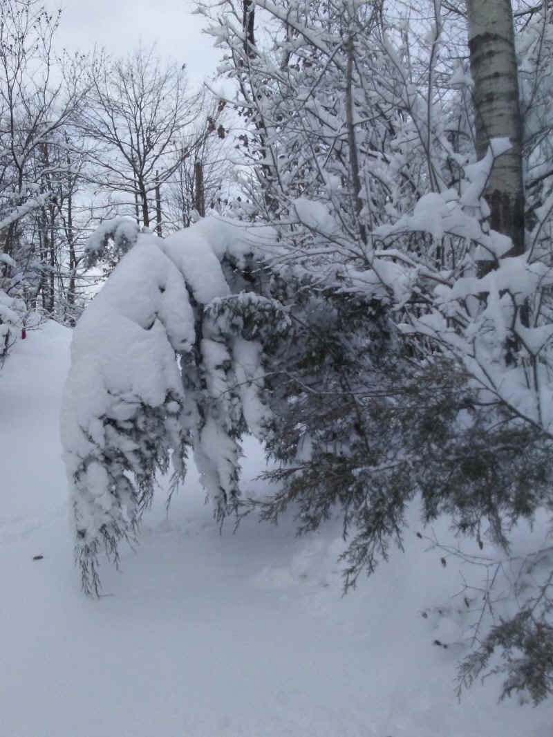 Winter Wonderland 2019-2020 - 026