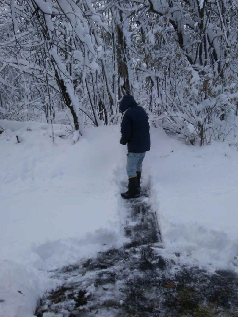 Winter Wonderland 2019-2020 - 028