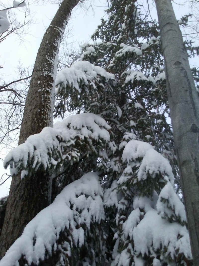 Winter Wonderland 2019-2020 - 030