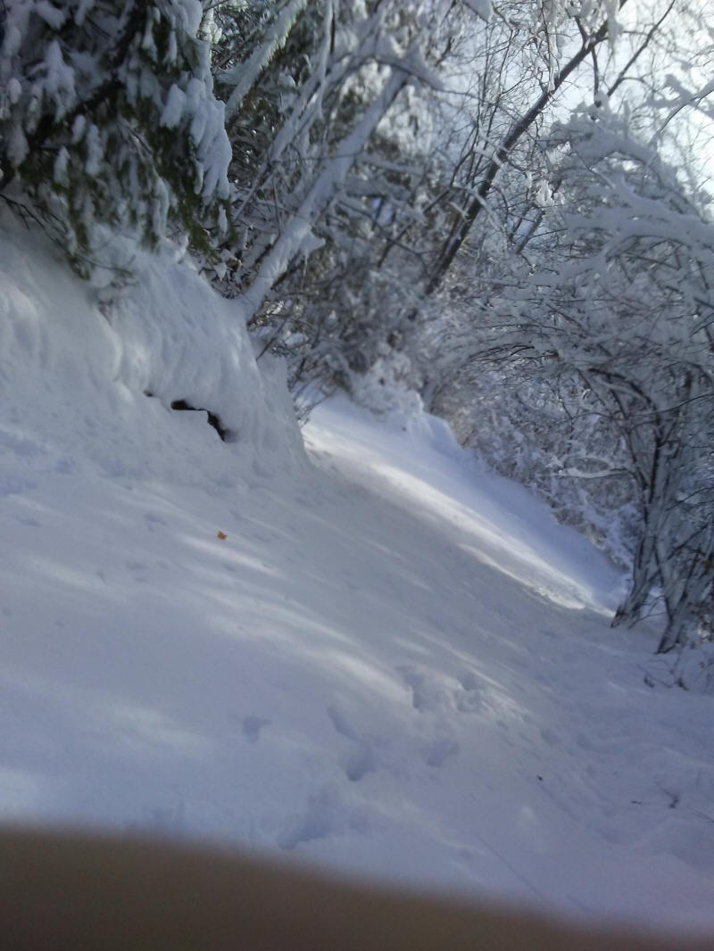 Winter Wonderland 2019-2020 - 031