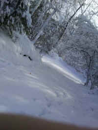 Winter Wonderland 2019-2020 - 031