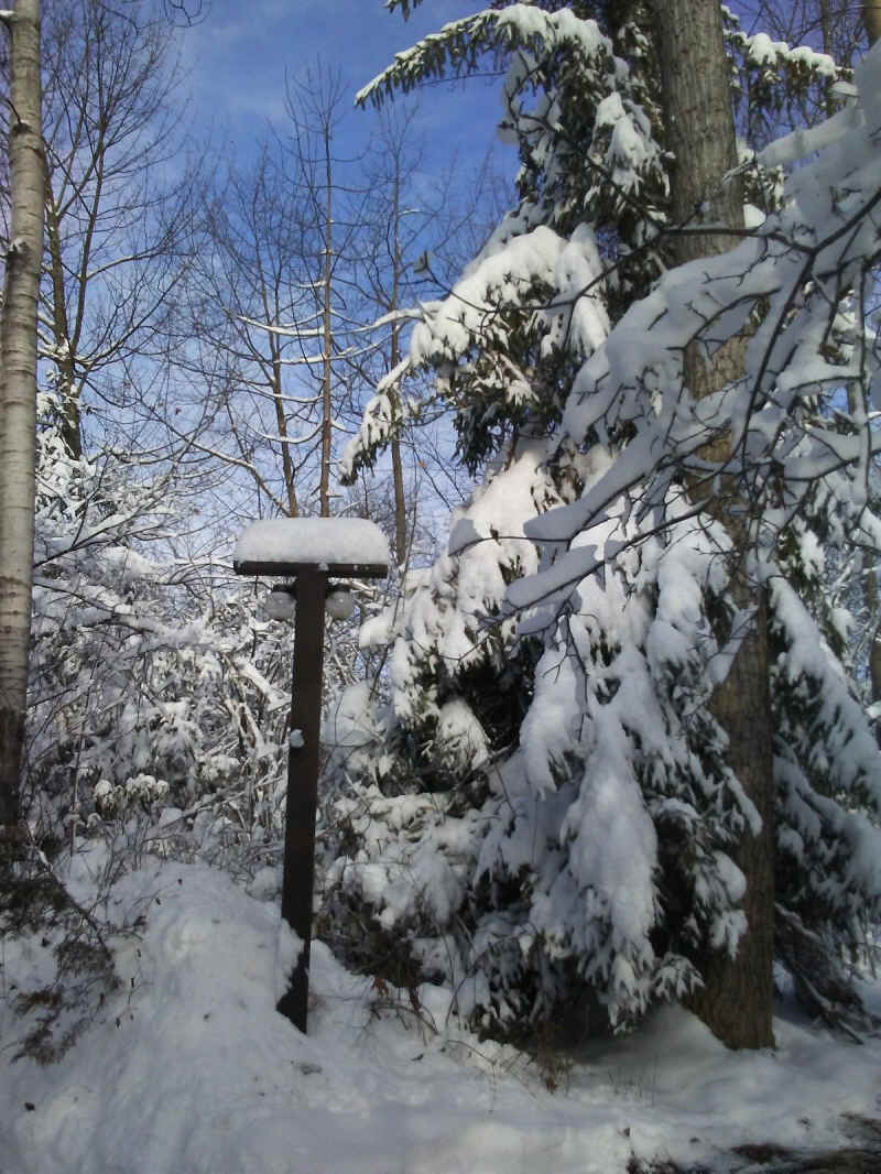 Winter Wonderland 2019-2020 - 034