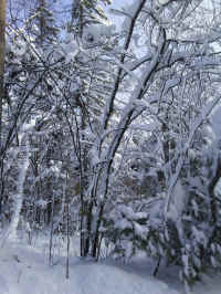 Winter Wonderland 2019-2020 - 035