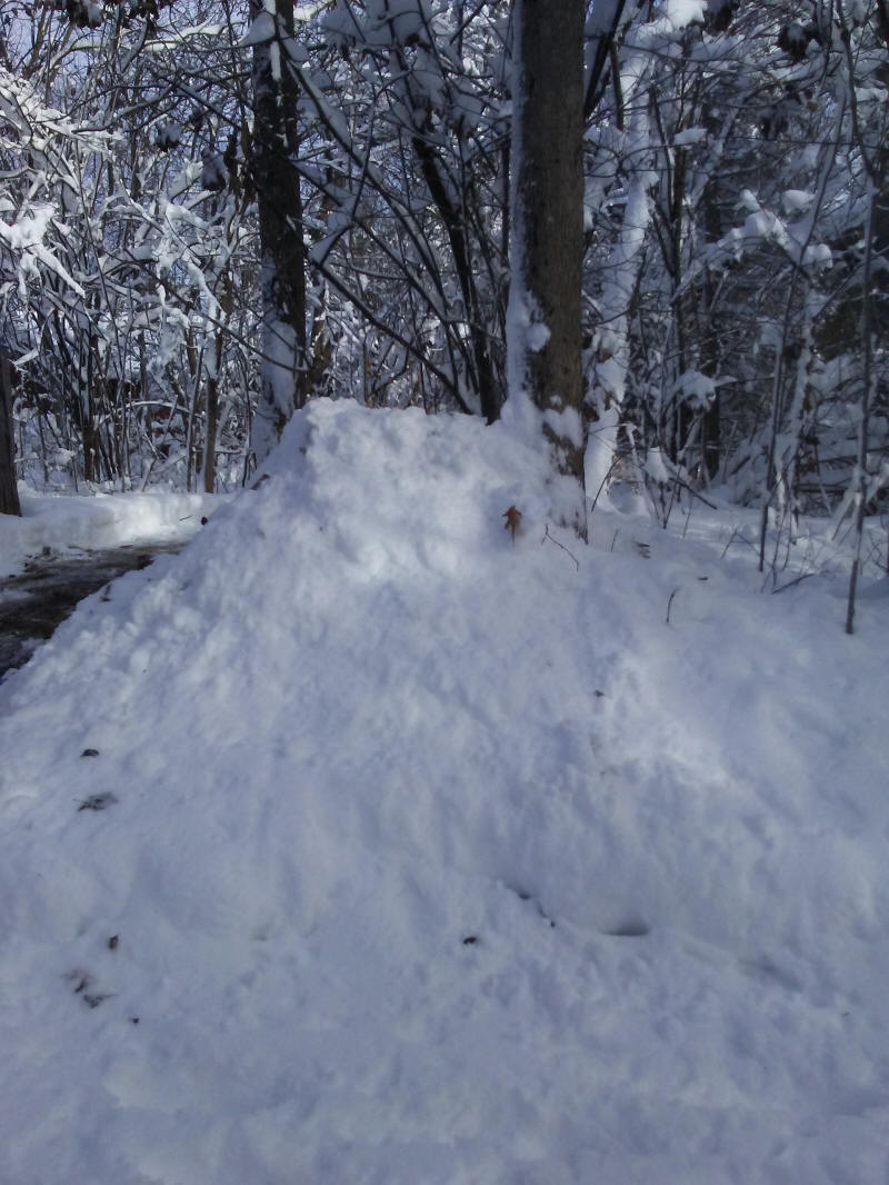 Winter Wonderland 2019-2020 - 036