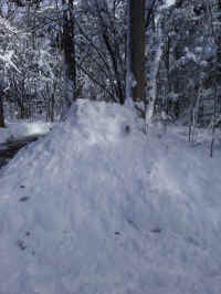 Winter Wonderland 2019-2020 - 036