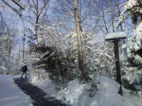 Winter Wonderland 2019-2020 - 037