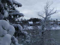 Winter Wonderland 2019-2020