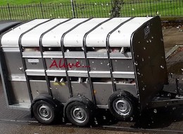 Sheep truck