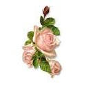 Beauty Can Be Found in a Single Teardrop