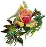 Beauty Can Be Found in a Single Teardrop