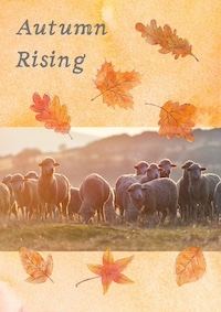 Autumn rising title, sheep, and leaves