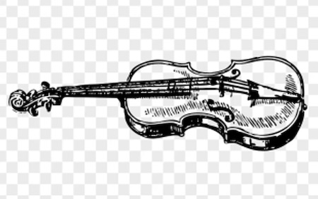 Violin