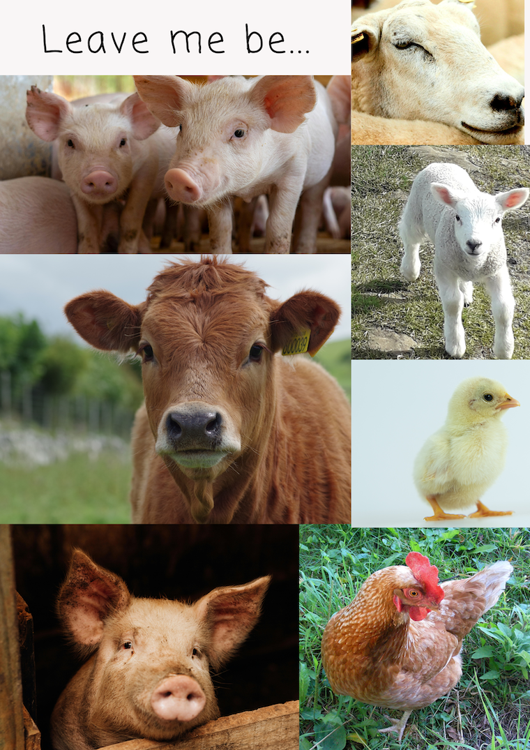 title and farmed animals