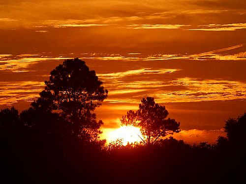 Symphonic Sunrise