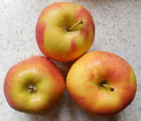 Apples, Ambrosia