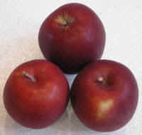 Apples, Arkansas Black
