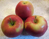 Apples, Cosmic Crisp