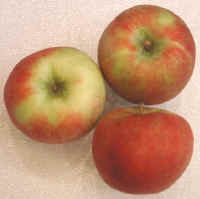 Apples, Honeycrisp