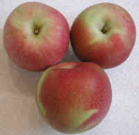 Apples, Opalescent