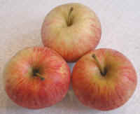 Apples, Royal Gala