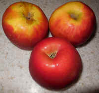 Apples, Sugar Bee