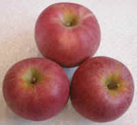 Apples, Winesap