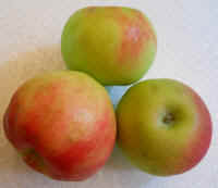 Apples, Zestar